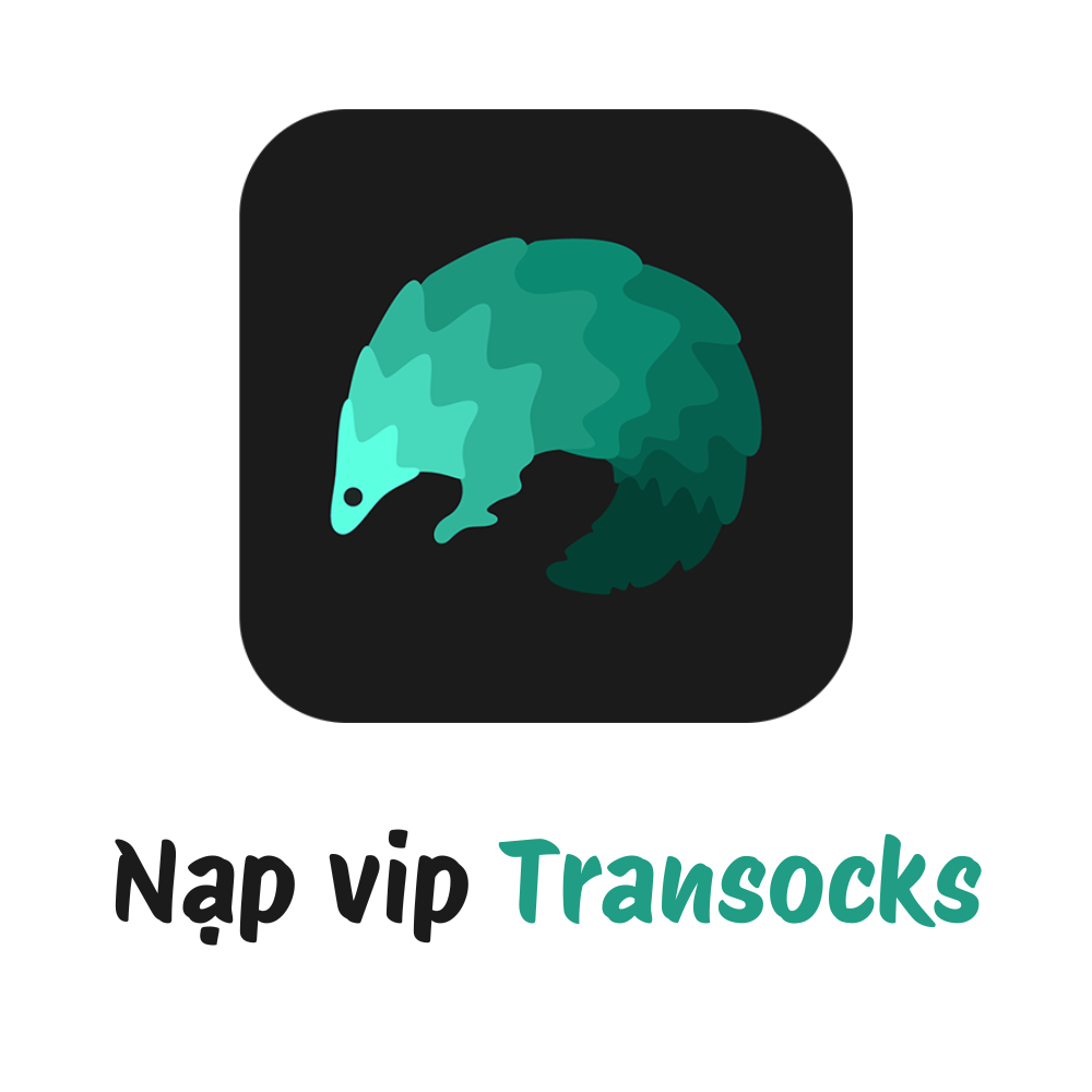 NẠP VIP TRANSOCK