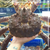 Cua Hoàng Đế King Crab Đỏ Bao Ăn Nhập Khẩu Tươi Sống HẢI ĐẢO FOOD Nhiều Size