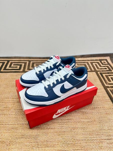 Giày Nike Future Dunk Nike Dunk Low Next Nature Women's Shoes