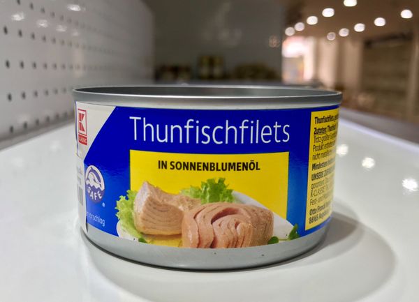  Hộp cá ngừ phile không dầu và ngâm dầu hoa hướng dương Thunfischfilets 185g 