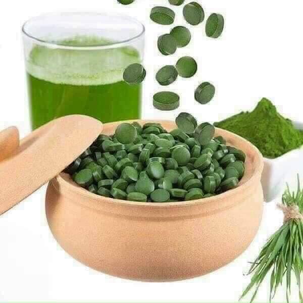 Viên Uống Tảo Xoắn Spirulina Nhật Bản Hộp Vàng 2200 Viên