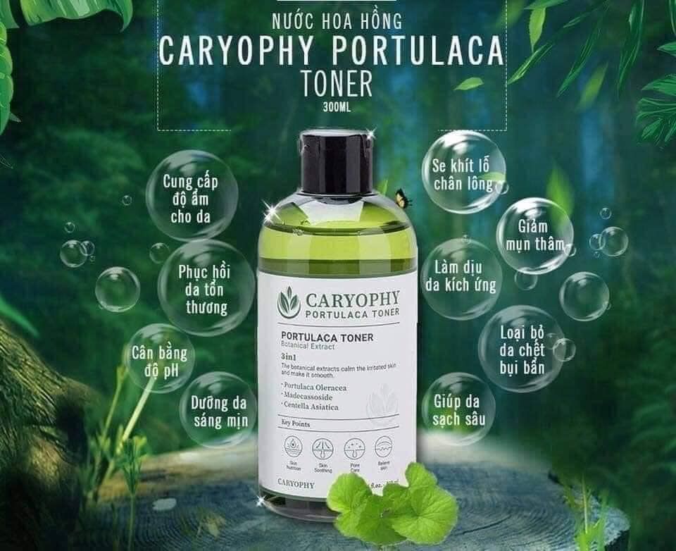 Nước Hoa Hồng Phục Hồi Da Caryophy Portulaca Toner 300ML