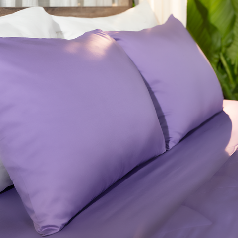 Ga giường cotton satin TC400 cao cấp màu tím đậm - LT.KS104 