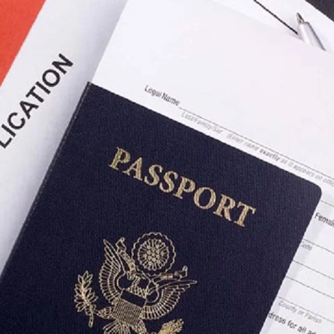 WORKING VISA