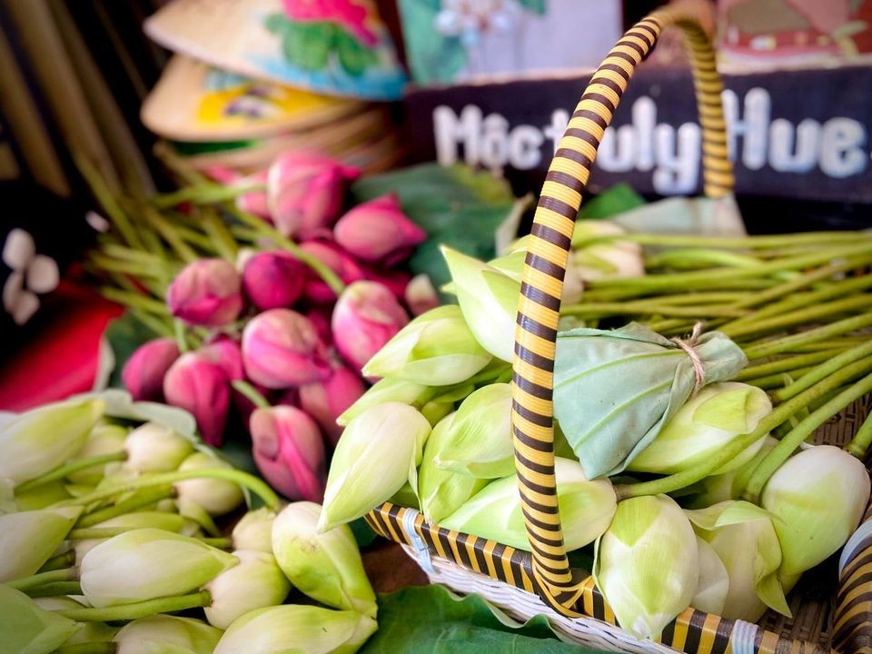 10 Bông sen Trắng