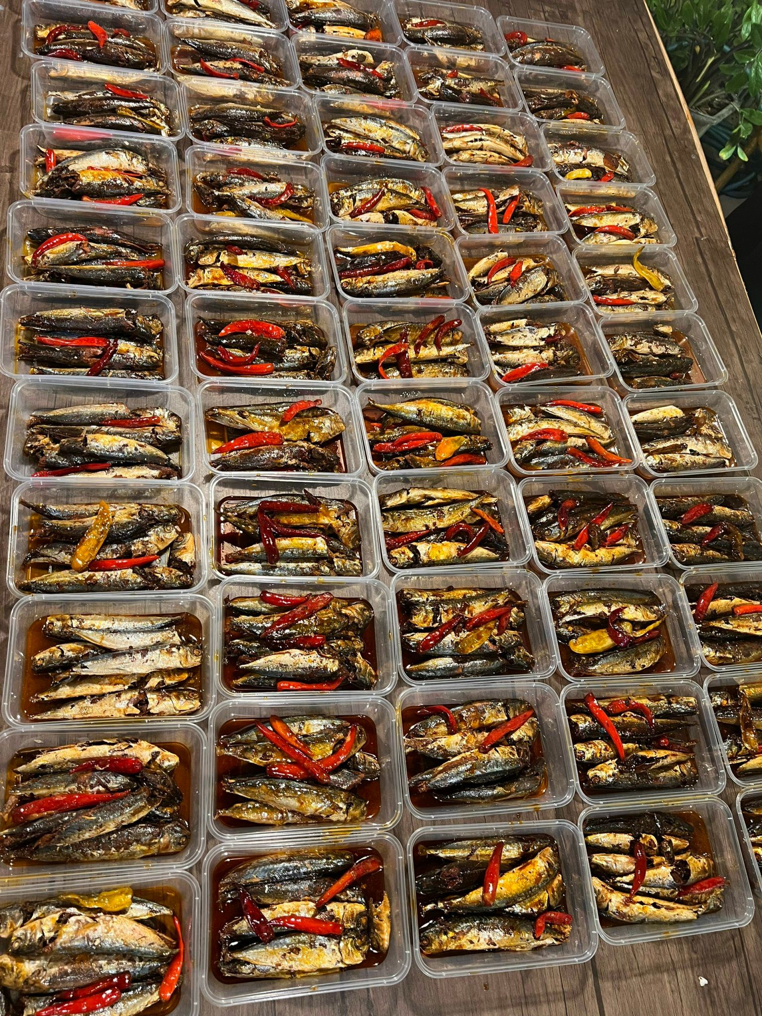 Cá Nục O Mộc