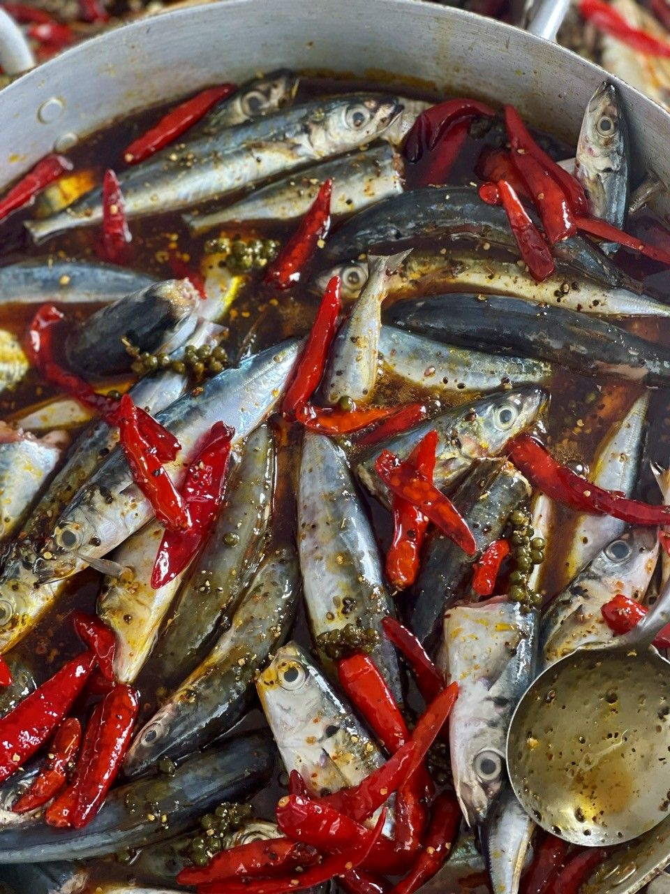 Cá Nục O Mộc