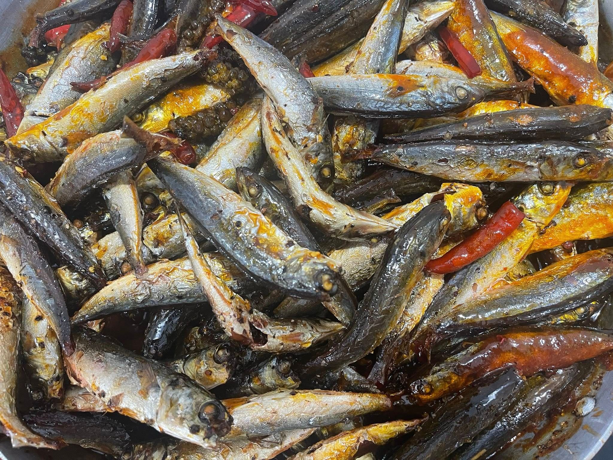 Cá Nục O Mộc