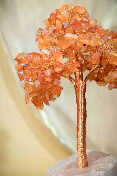  Lucky Tree đá Carnelian: Sáng tạo và tự tin 