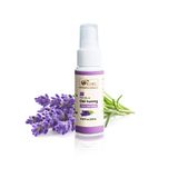  Tinh dầu xịt phòng Oải hương (Lavender) 