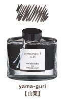 Mực Bút Máy Pilot Iroshizuku Lọ 50ml