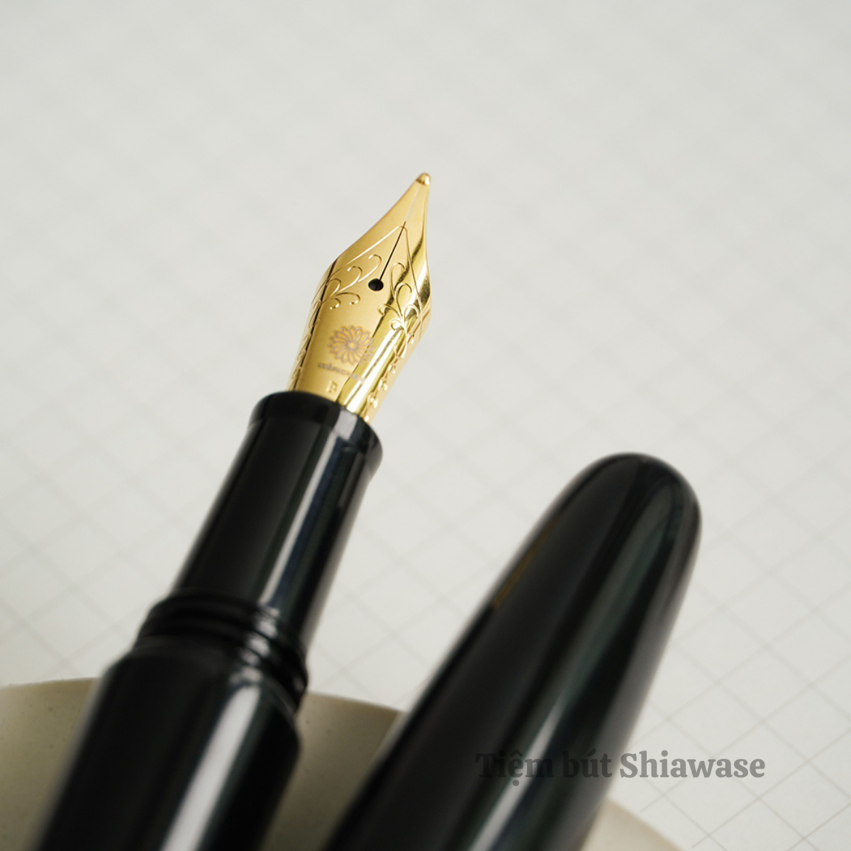 Bút Máy Wancher Dream Pen True Ebonite - Silk Black