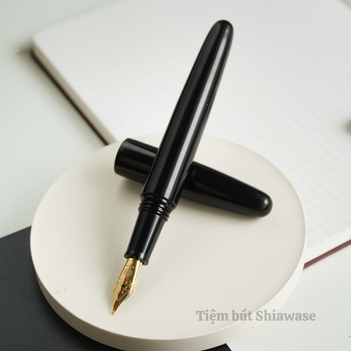  Bút Máy Wancher Dream Pen True Ebonite - Silk Black 