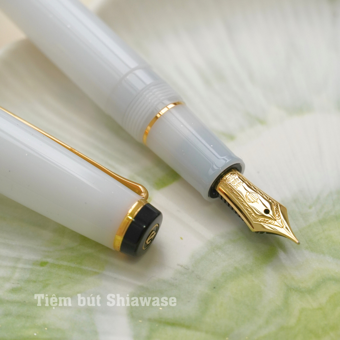 Bút Máy Sailor Professional Gear Slim 14K Shikiori - Yuki Tsubaki - Snow Camellia