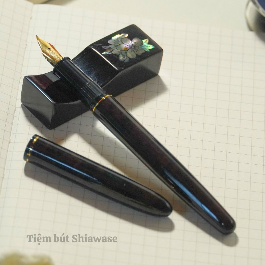 Wancher Kuretake Nodoka - Chagasumi (Brown)
