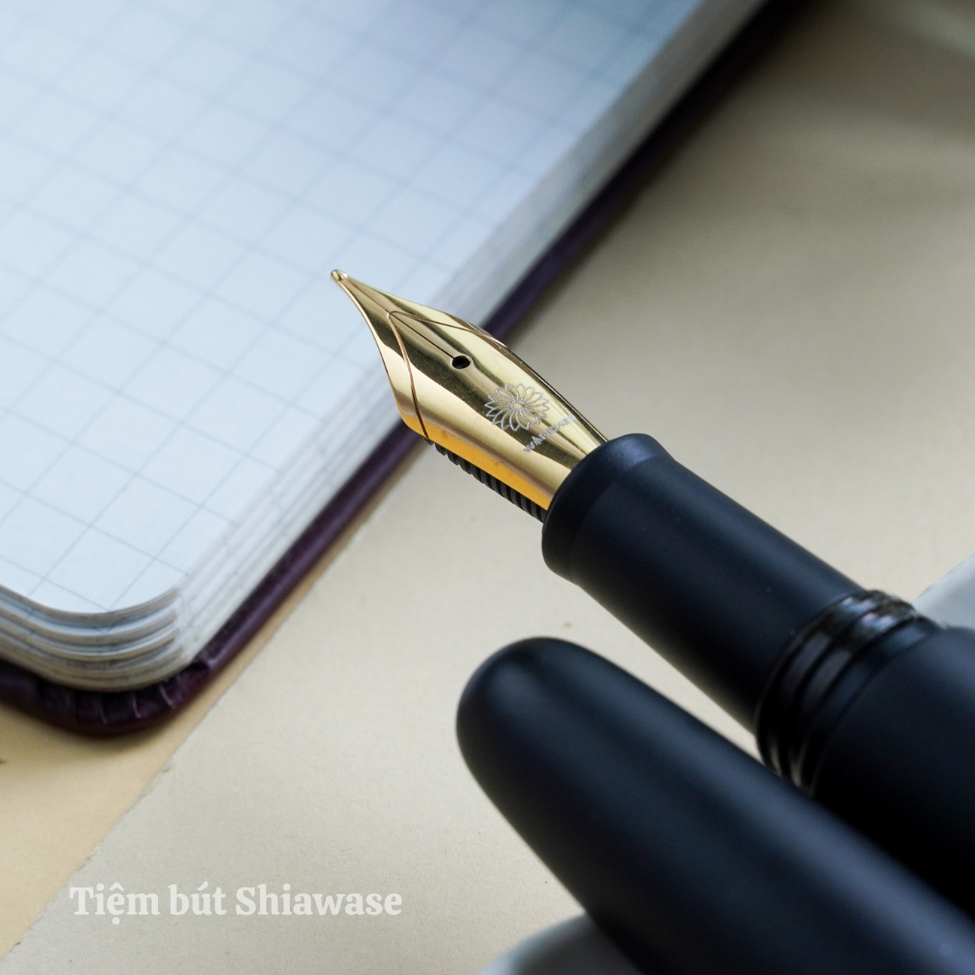 Bút Máy Wancher Dream Pen True Ebonite - Matt Black