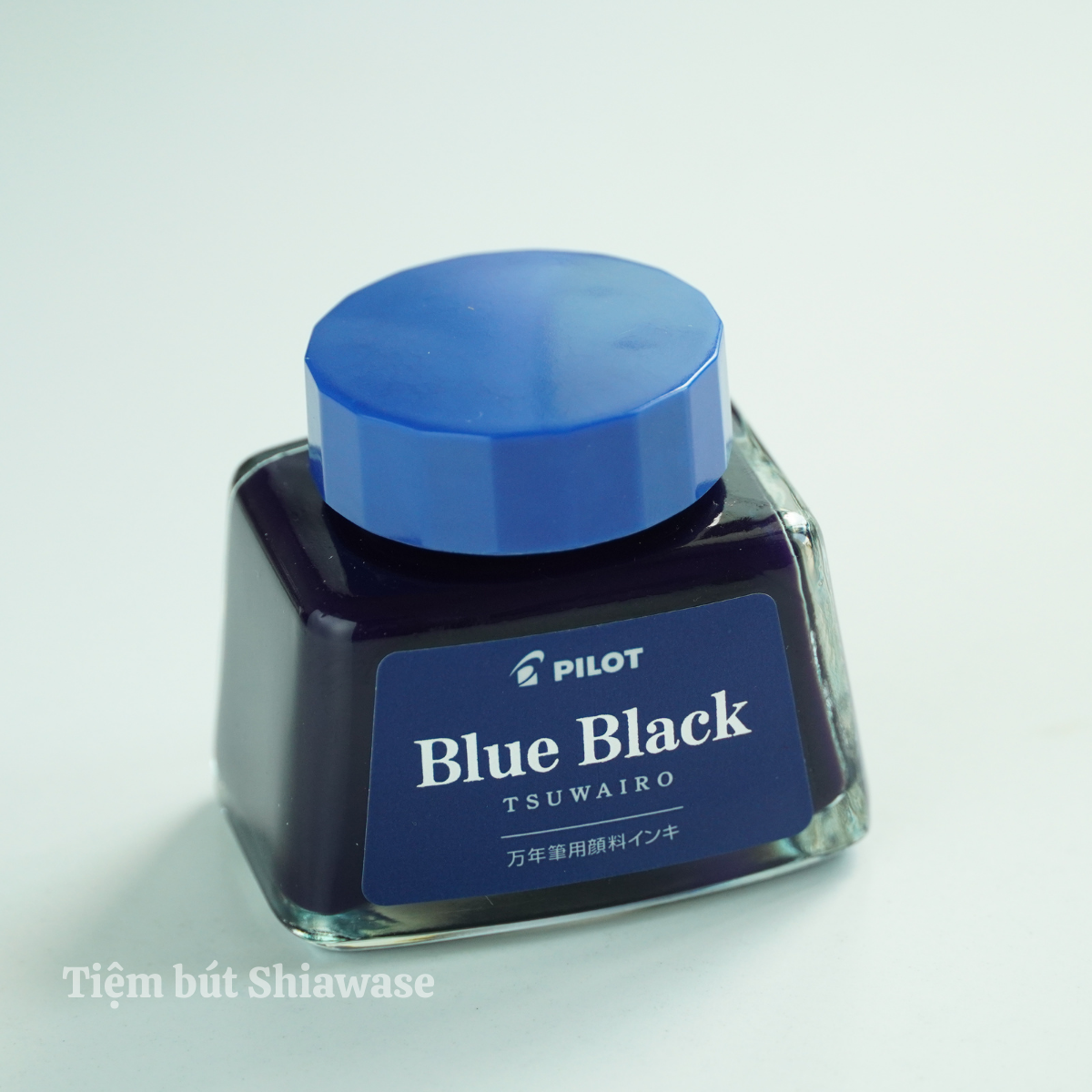 Mực Bút Máy Pilot Pigment Ink Tsuwairo Lọ 30ml
