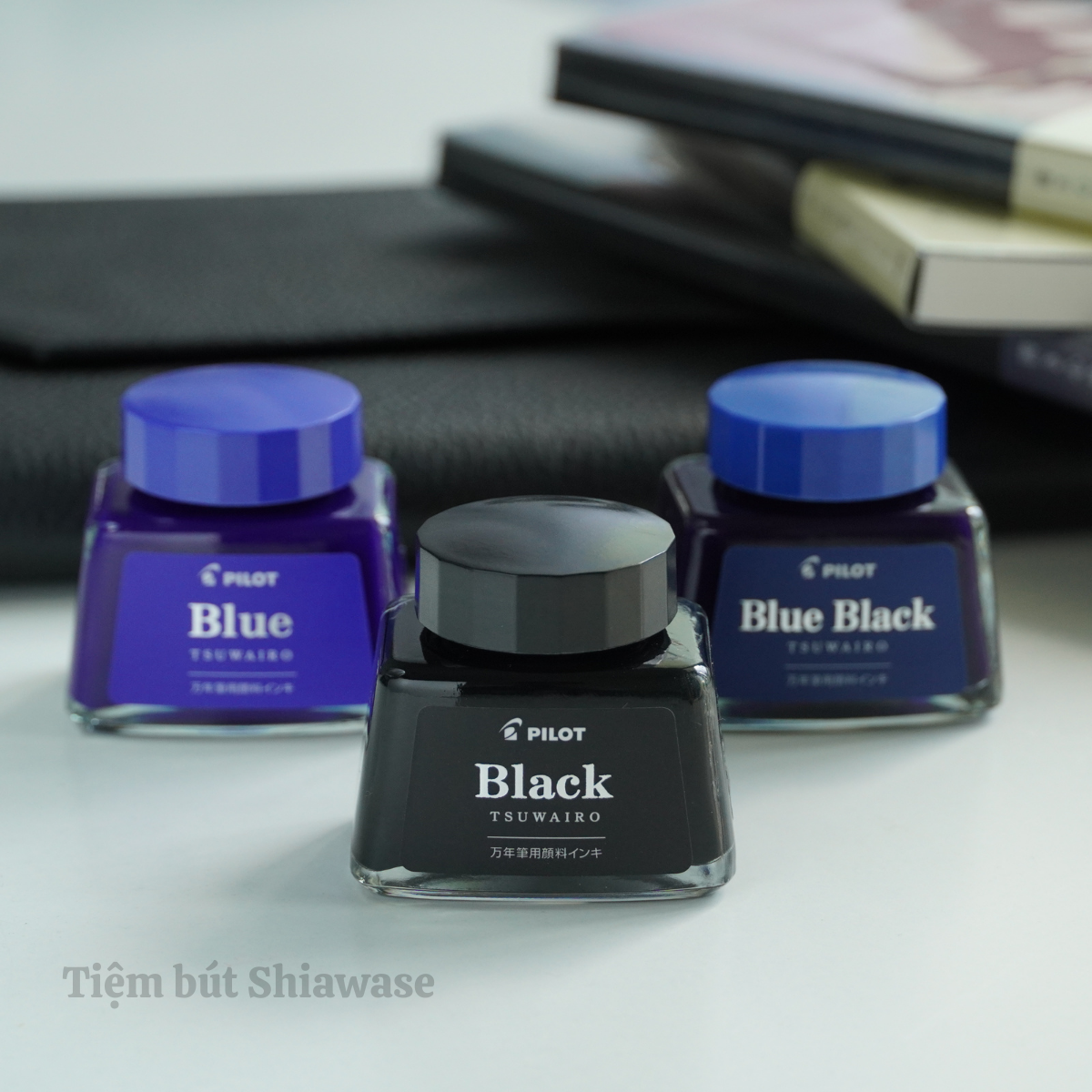 Mực Bút Máy Pilot Pigment Ink Tsuwairo Lọ 30ml