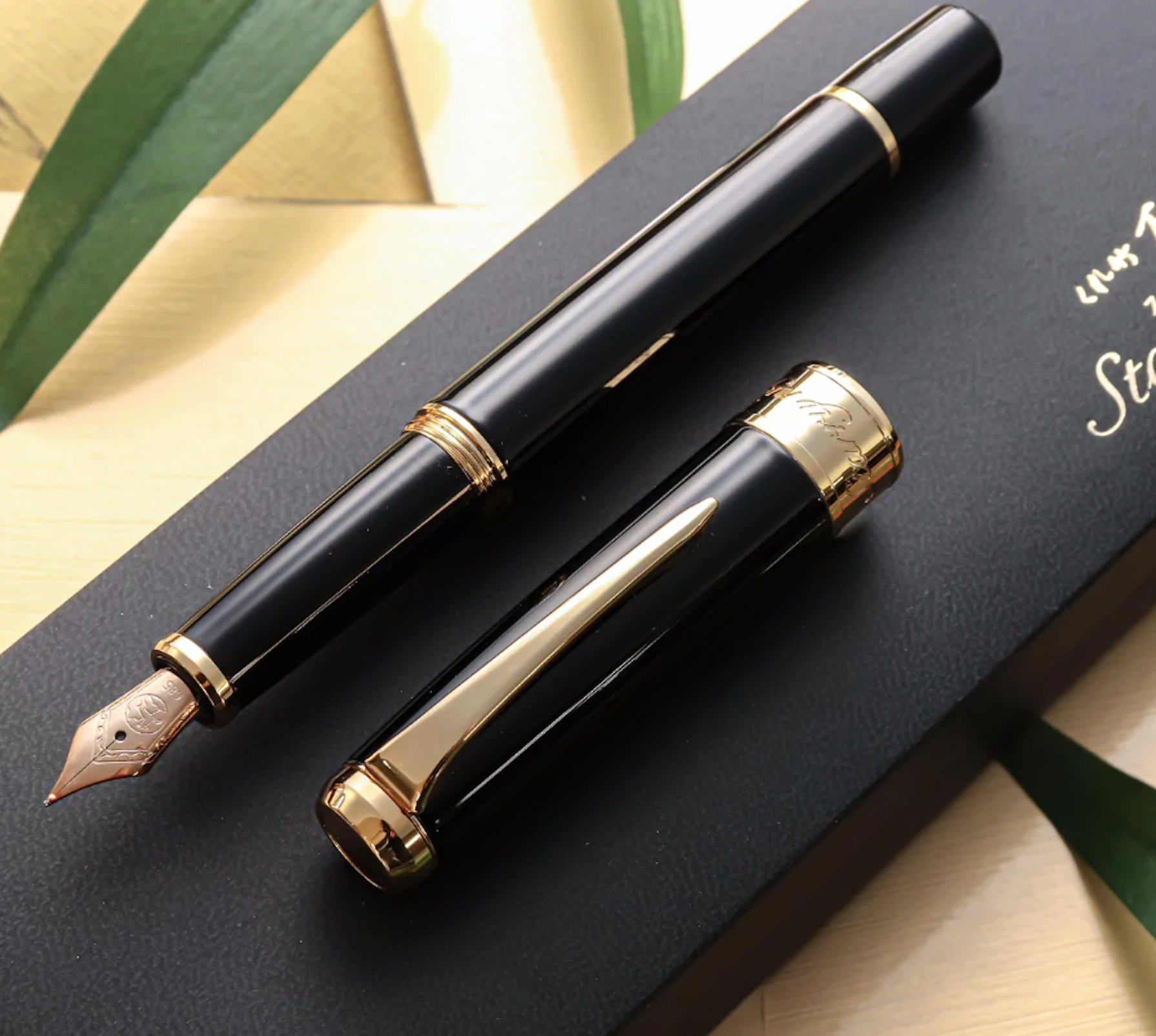 Bút Máy Kuretake Starry Night Fountain Pen - Glossy Black
