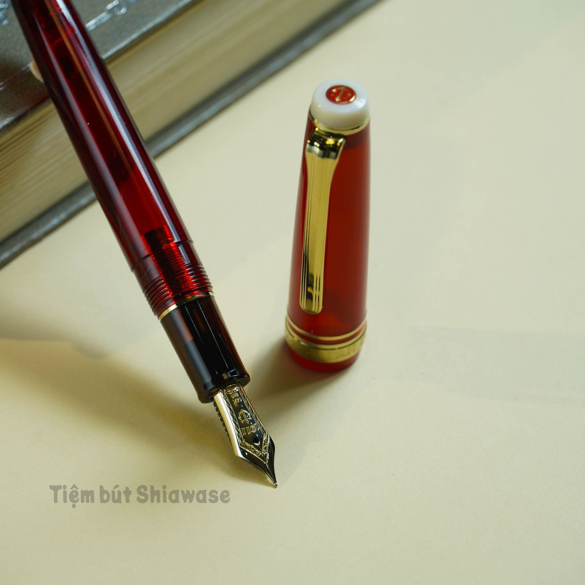 Bút Máy Sailor Professional Gear Slim 14K Tea Time #1 FIKA Hallongrotta