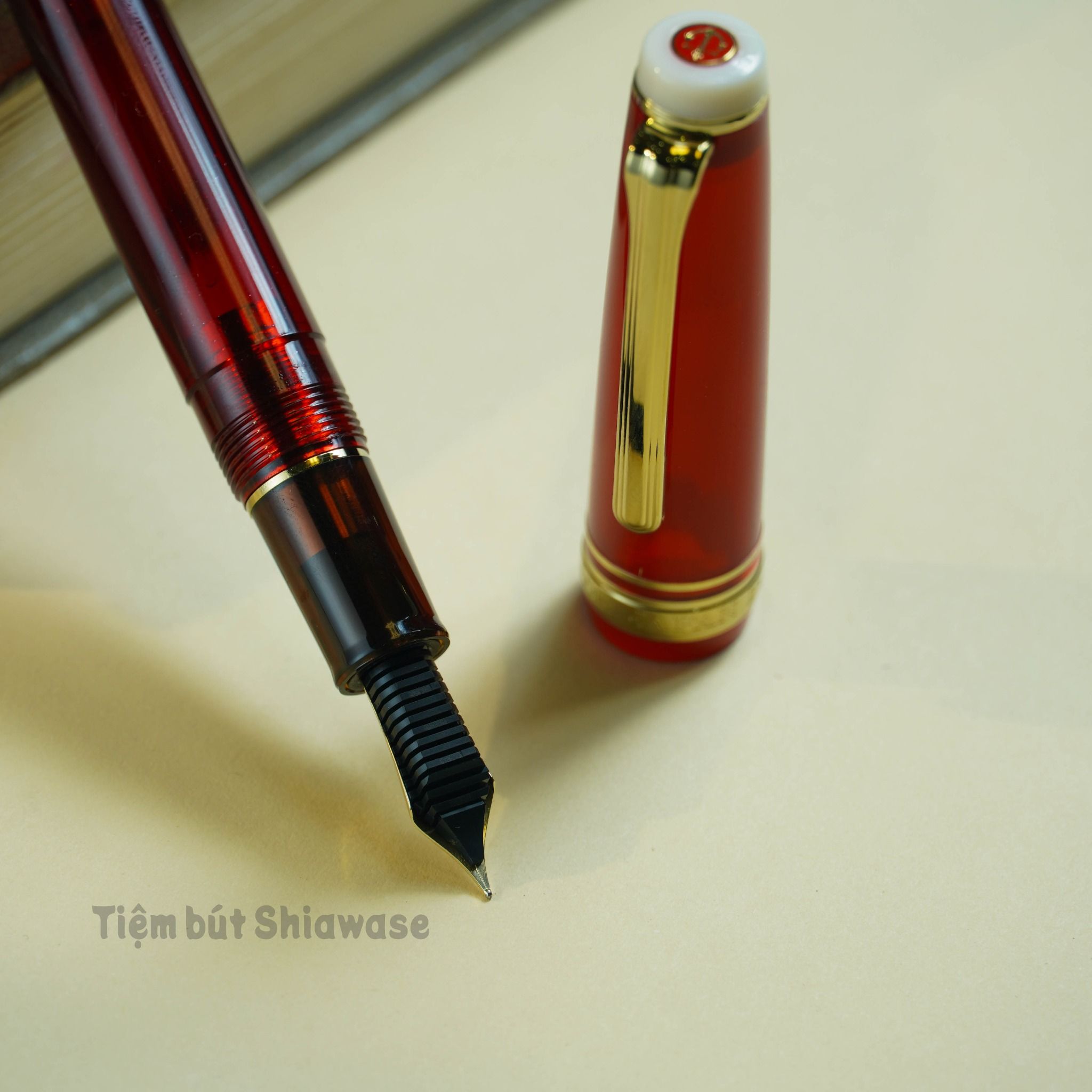Bút Máy Sailor Professional Gear Slim 14K Tea Time #1 FIKA Hallongrotta