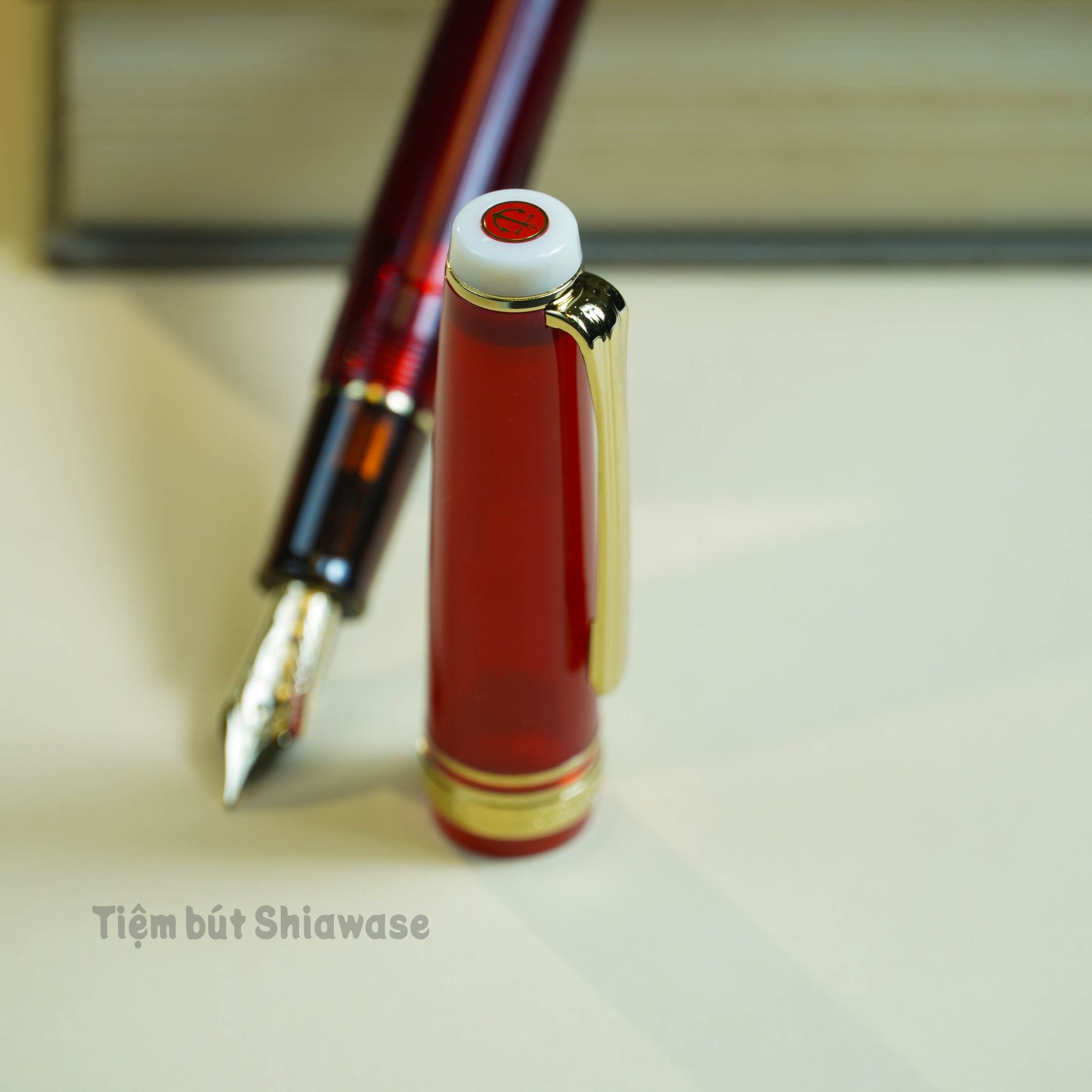 Bút Máy Sailor Professional Gear Slim 14K Tea Time #1 FIKA Hallongrotta