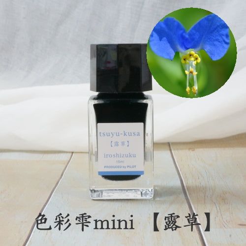 Mực Bút Máy Pilot Iroshizuku Lọ 15ml