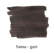 Mực Bút Máy Pilot Iroshizuku Lọ 50ml