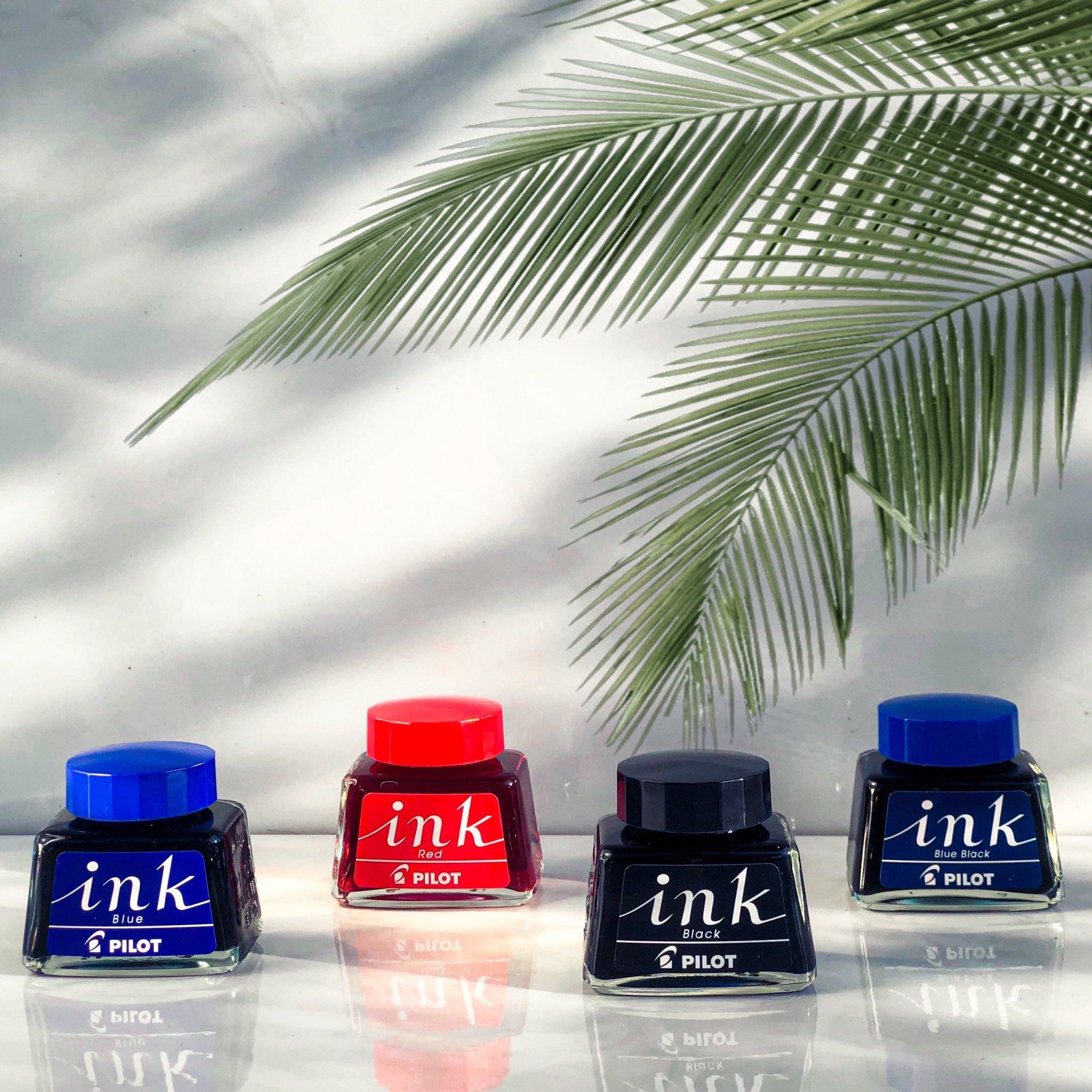 Mực Bút Máy Pilot Lọ 30ml