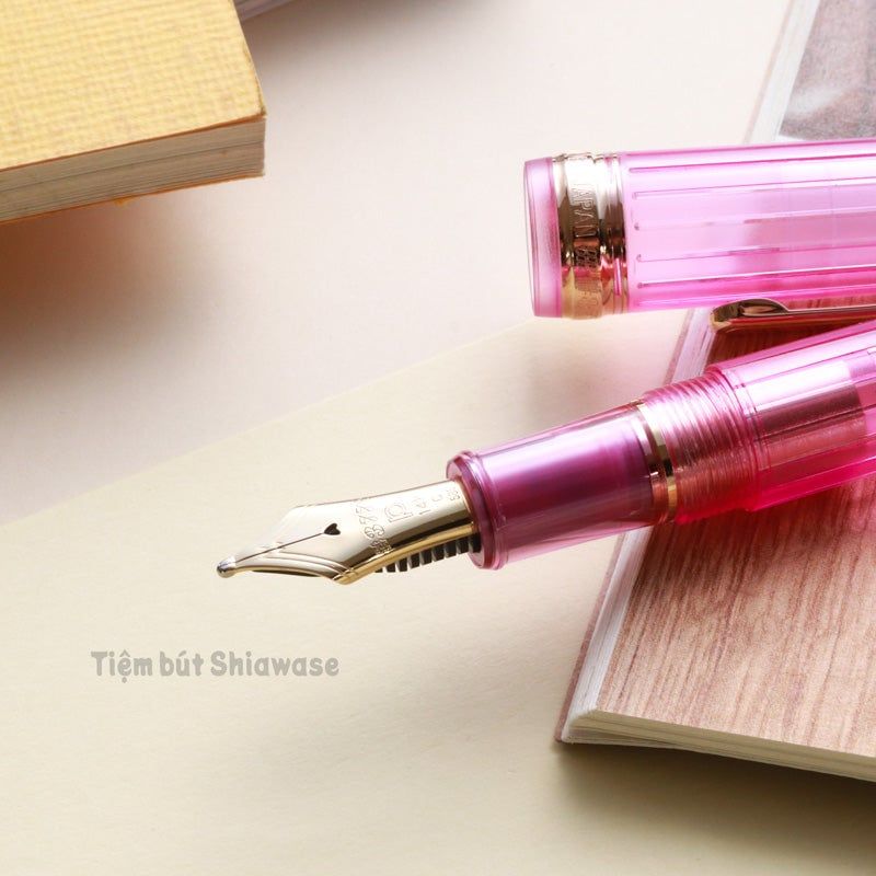 Bút Máy Platinum #3776 Century 14K Nice - Lilas - Hồng Trong Suốt