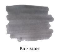 Mực Bút Máy Pilot Iroshizuku Lọ 50ml
