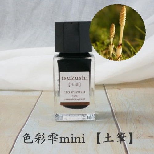 Mực Bút Máy Pilot Iroshizuku Lọ 15ml