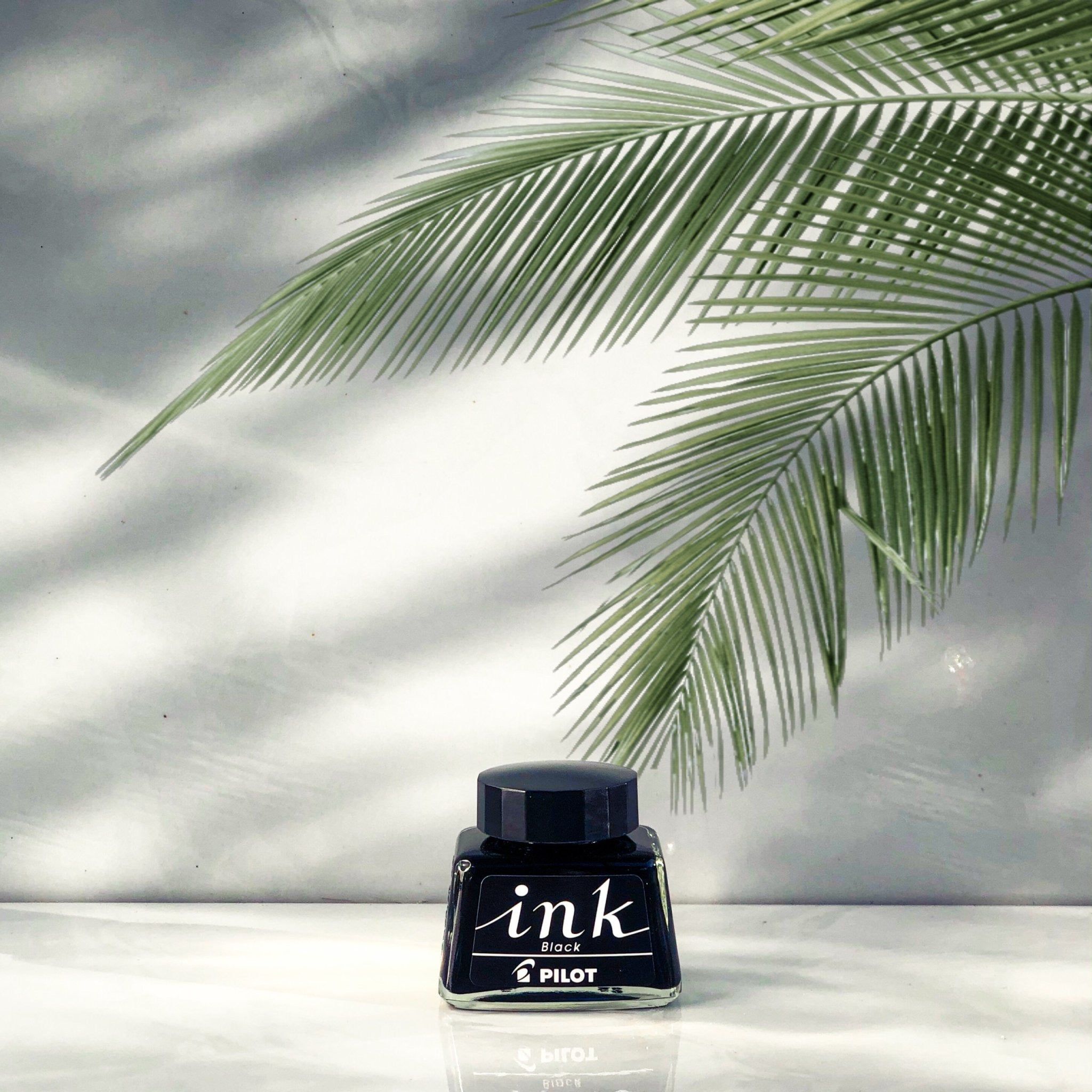Mực Bút Máy Pilot Lọ 30ml