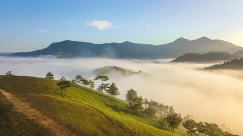 HN - ĐÀ LẠT - NHA TRANG -  HN ( Đi Sáng về Chiều)