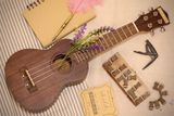 Ukulele gỗ size 23