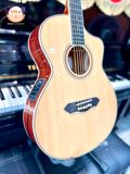 Guitar Acoustic Dallas EQ DL-A400