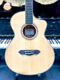 Guitar Acoustic Dallas EQ DL-A400