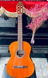 Guitar Classic Eko Vibra - V100