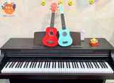 Piano điện Kawai PW 810