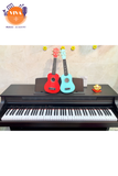 Piano điện Kawai PW 810