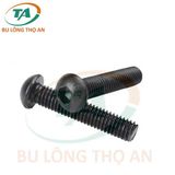 DIN 7380 Bu lông lục giác chìm đầu cầu đen