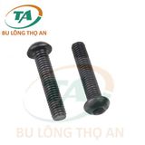 DIN 7380 Bu lông lục giác chìm đầu cầu đen