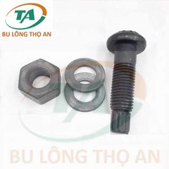 Bu lông tự đứt S10T/F10T