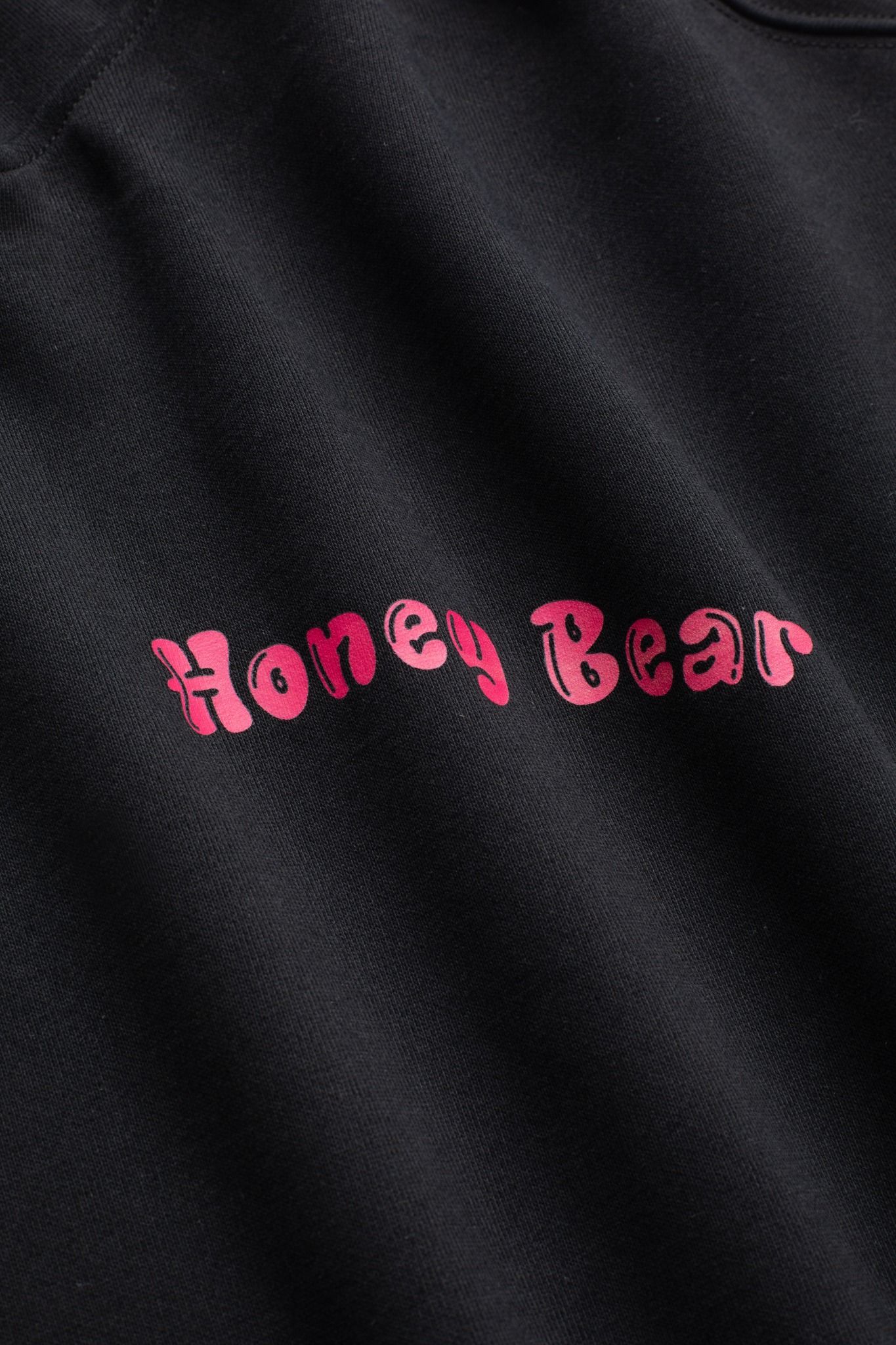 Áo hoodie teen girl Chiho TDH402R