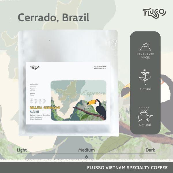  Cà phê Specialty Brazil Cerrado Natural NY2 SC 17/18 