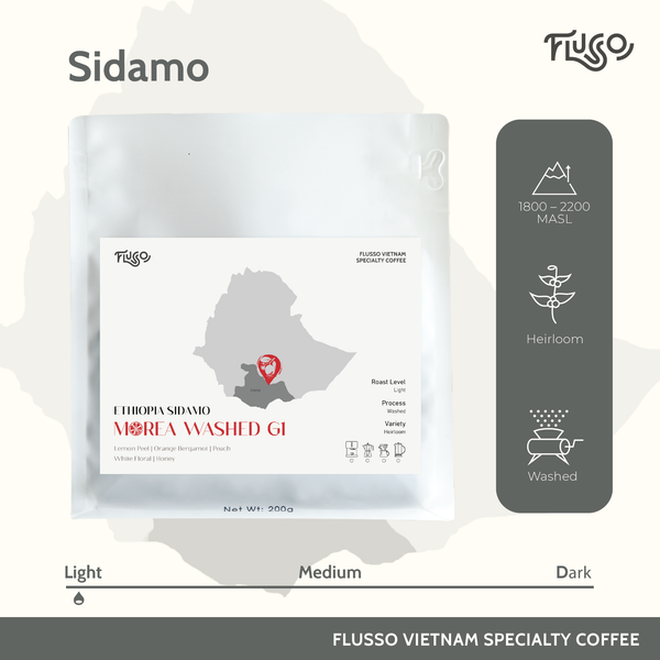  Cà phê Specialty Sidamo Morea Washed G1 Lot 23 