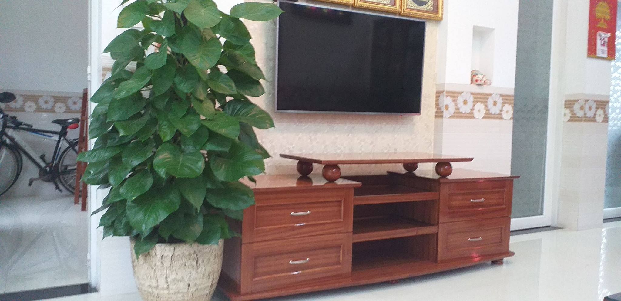 KỆ TIVI HN1