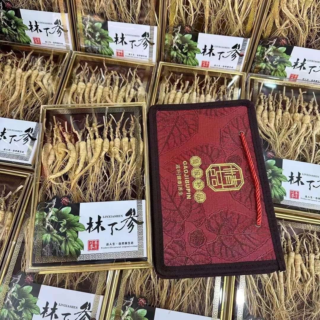 NHÂN SÂM TRƯỜNG BẠCH NÚI
