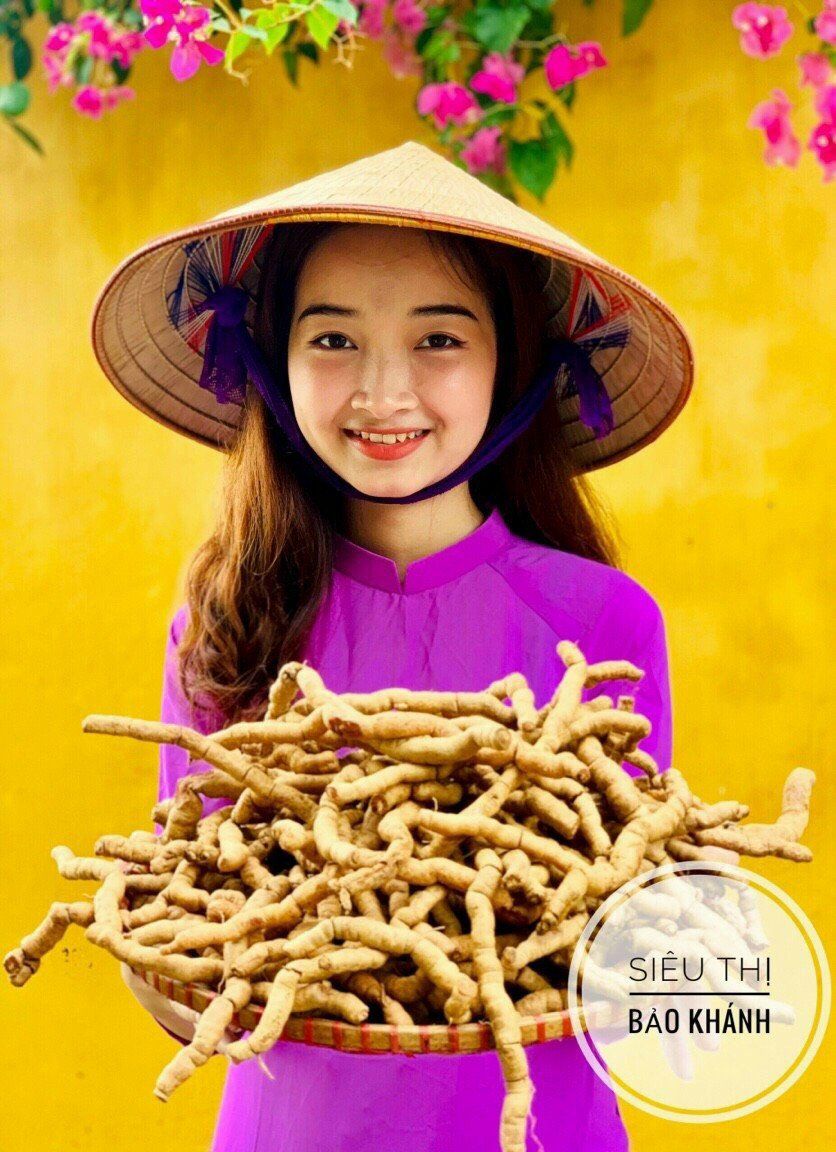 Ba kích tím Quảng Ninh