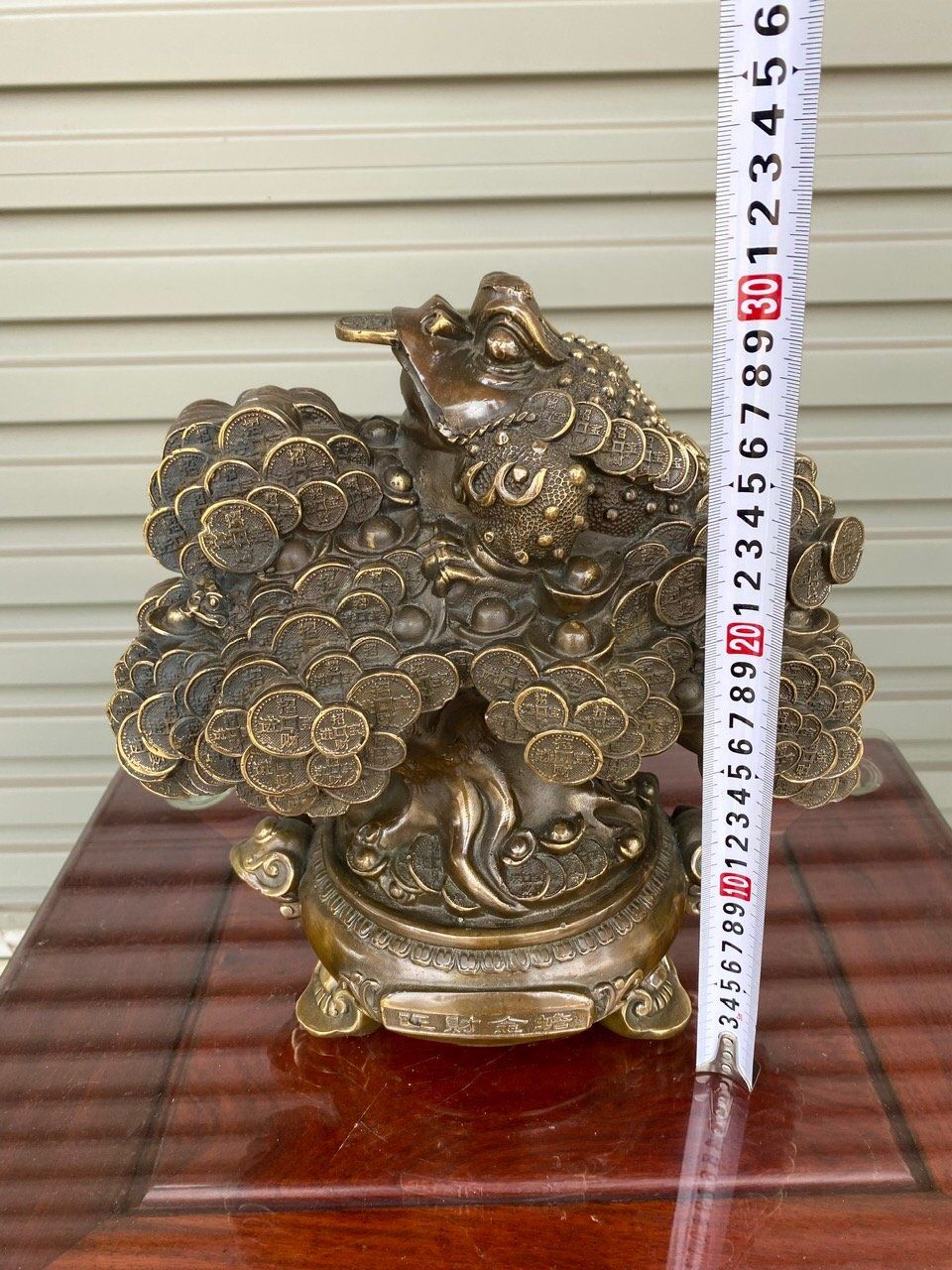 CÂY KIM TIỀN THIỀM THỬ